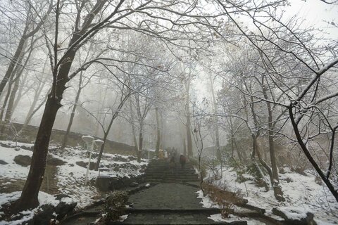 برف زمستانی پارک جمشیدیه /  محمد عباس نژاد
