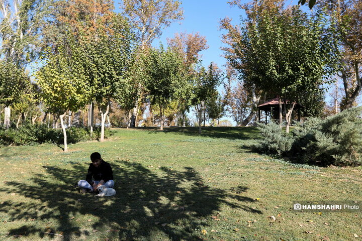 گذری پاییزی در بوستان بعثت