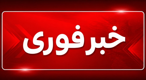 ورود هوش مصنوعی به کشاورزی ایران؛ دستیار هوشمند روی تلفن همراه کشاورزان